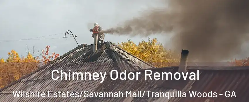 Chimney Odor Removal Wilshire Estates/Savannah Mall/Tranquilla Woods - GA