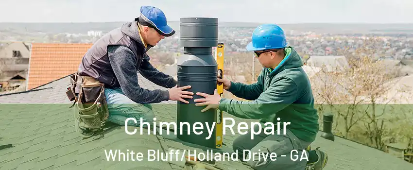 Chimney Repair White Bluff/Holland Drive - GA