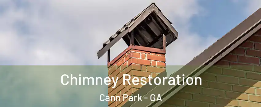 Chimney Restoration Cann Park - GA