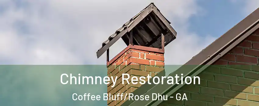 Chimney Restoration Coffee Bluff/Rose Dhu - GA