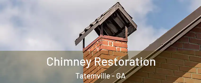 Chimney Restoration Tatemville - GA