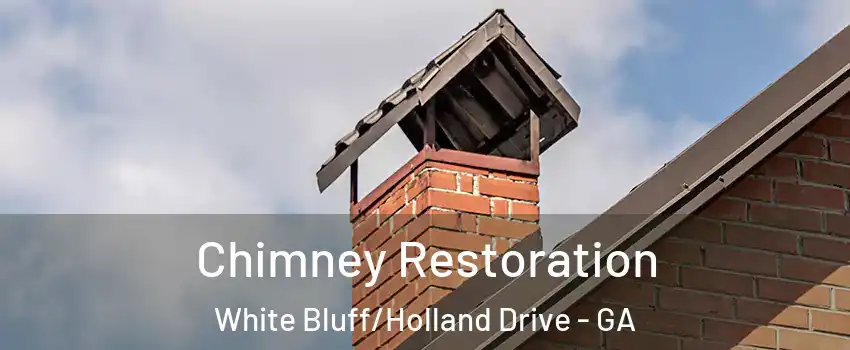 Chimney Restoration White Bluff/Holland Drive - GA