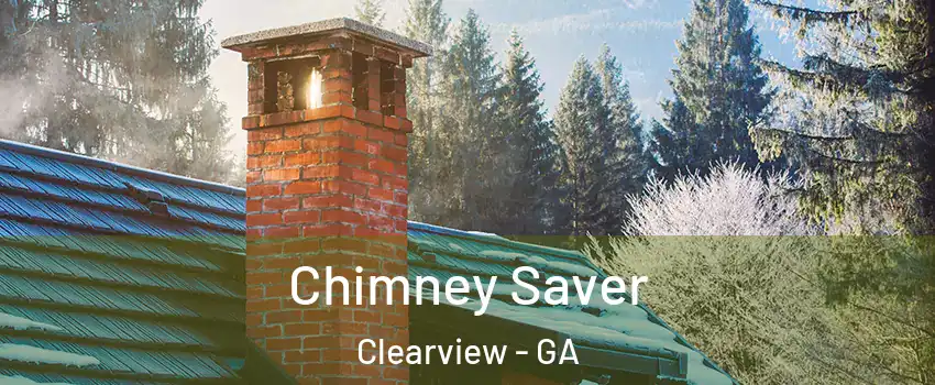 Chimney Saver Clearview - GA