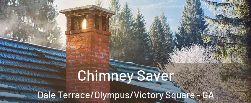 Chimney Saver Dale Terrace/Olympus/Victory Square - GA