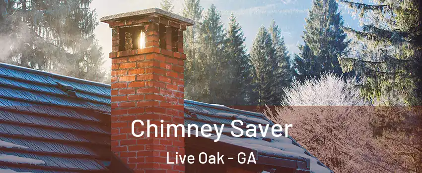 Chimney Saver Live Oak - GA
