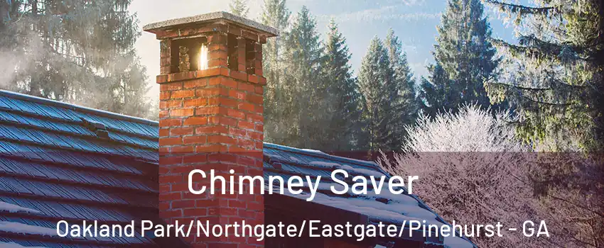 Chimney Saver Oakland Park/Northgate/Eastgate/Pinehurst - GA