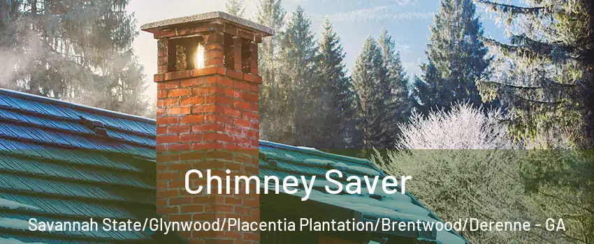 Chimney Saver Savannah State/Glynwood/Placentia Plantation/Brentwood/Derenne - GA