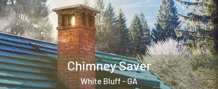 Chimney Saver White Bluff - GA
