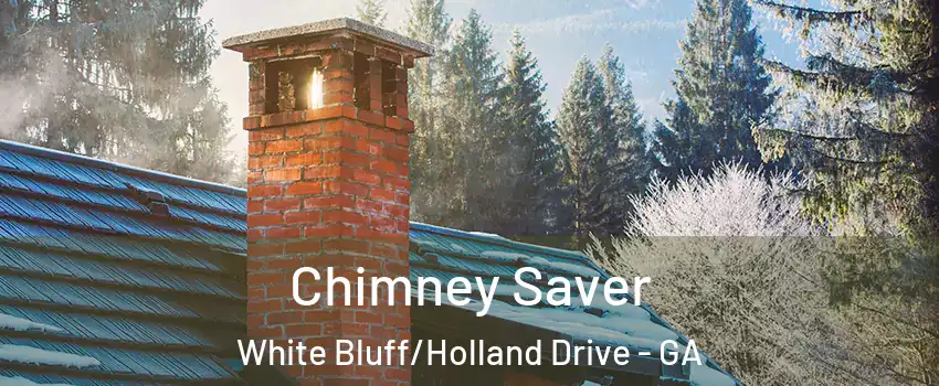 Chimney Saver White Bluff/Holland Drive - GA