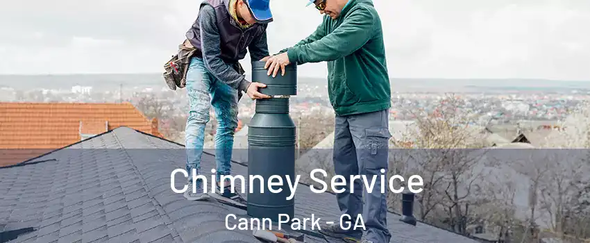 Chimney Service Cann Park - GA