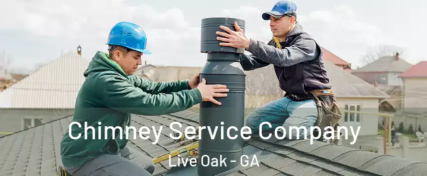 Chimney Service Company Live Oak - GA