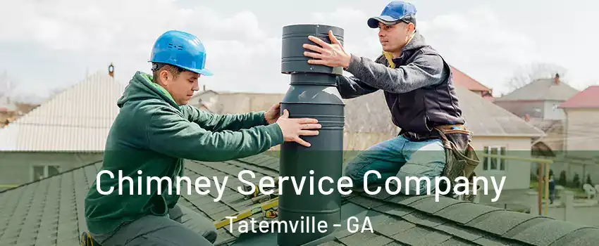 Chimney Service Company Tatemville - GA