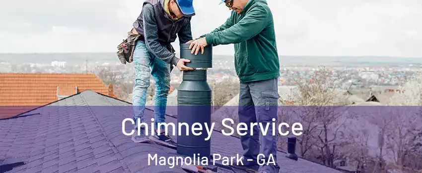 Chimney Service Magnolia Park - GA