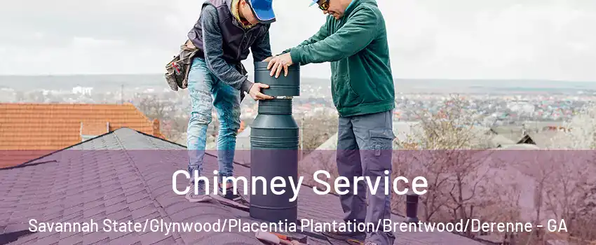 Chimney Service Savannah State/Glynwood/Placentia Plantation/Brentwood/Derenne - GA