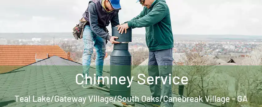 Chimney Service Teal Lake/Gateway Village/South Oaks/Canebreak Village - GA