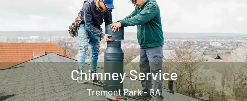 Chimney Service Tremont Park - GA