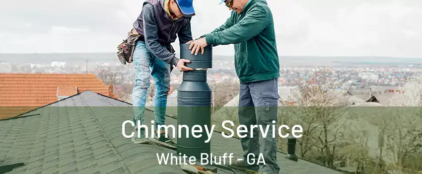 Chimney Service White Bluff - GA