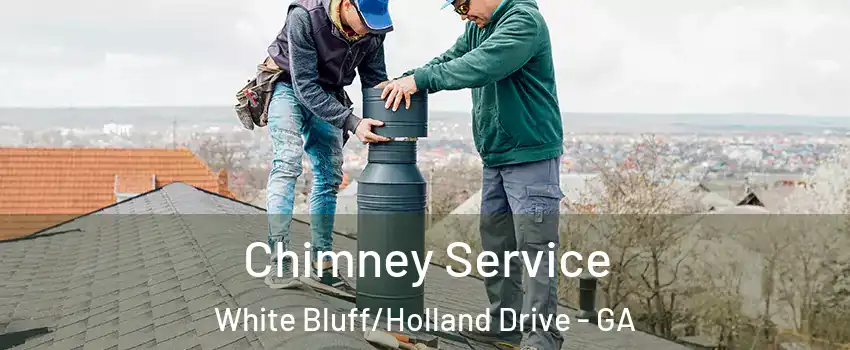 Chimney Service White Bluff/Holland Drive - GA