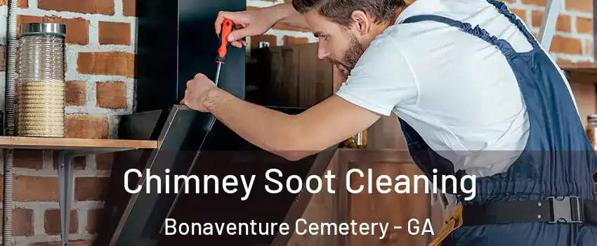 Chimney Soot Cleaning Bonaventure Cemetery - GA