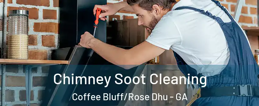Chimney Soot Cleaning Coffee Bluff/Rose Dhu - GA