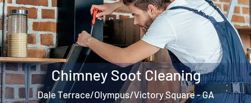 Chimney Soot Cleaning Dale Terrace/Olympus/Victory Square - GA
