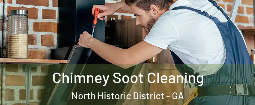 Chimney Soot Cleaning North Historic District - GA