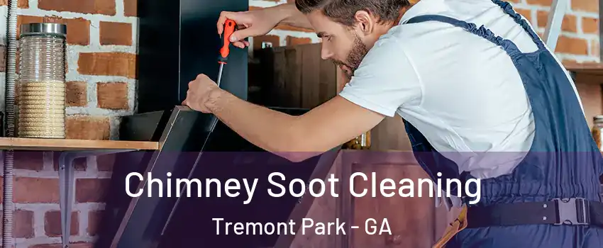Chimney Soot Cleaning Tremont Park - GA