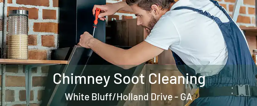 Chimney Soot Cleaning White Bluff/Holland Drive - GA