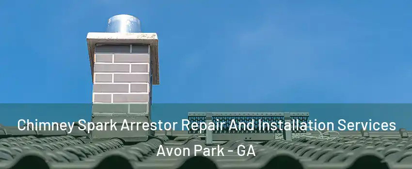 Chimney Spark Arrestor Repair And Installation Services Avon Park - GA