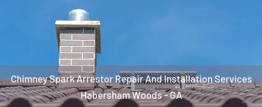 Chimney Spark Arrestor Repair And Installation Services Habersham Woods - GA