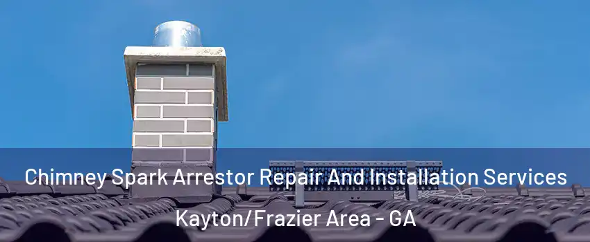 Chimney Spark Arrestor Repair And Installation Services Kayton/Frazier Area - GA