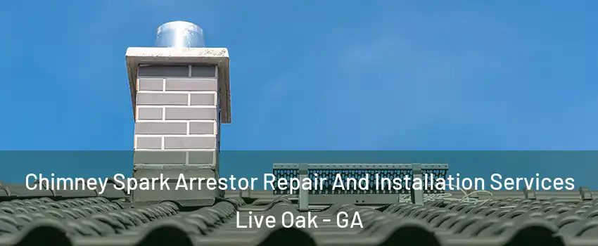 Chimney Spark Arrestor Repair And Installation Services Live Oak - GA