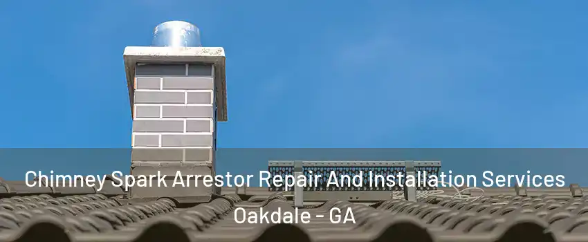 Chimney Spark Arrestor Repair And Installation Services Oakdale - GA