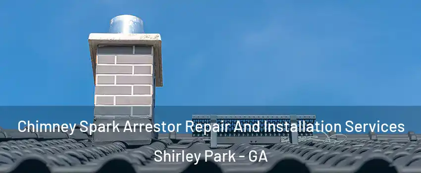 Chimney Spark Arrestor Repair And Installation Services Shirley Park - GA