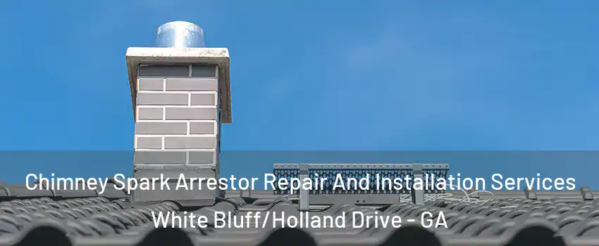 Chimney Spark Arrestor Repair And Installation Services White Bluff/Holland Drive - GA