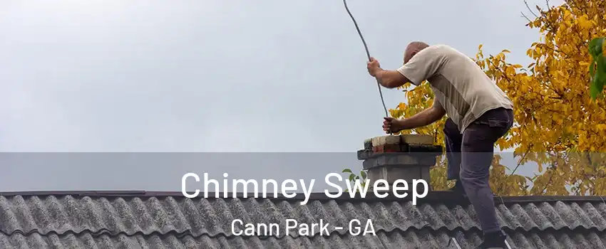 Chimney Sweep Cann Park - GA