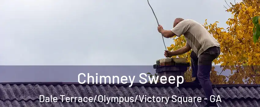 Chimney Sweep Dale Terrace/Olympus/Victory Square - GA