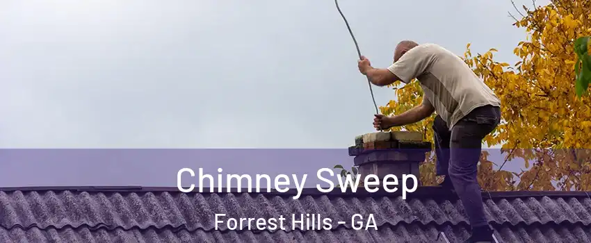 Chimney Sweep Forrest Hills - GA