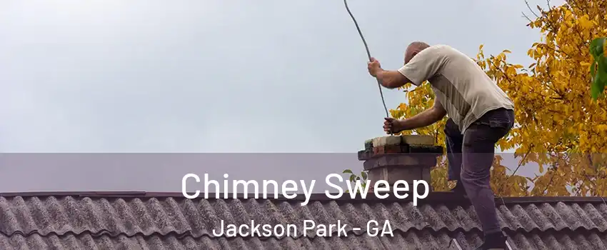 Chimney Sweep Jackson Park - GA