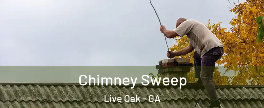 Chimney Sweep Live Oak - GA