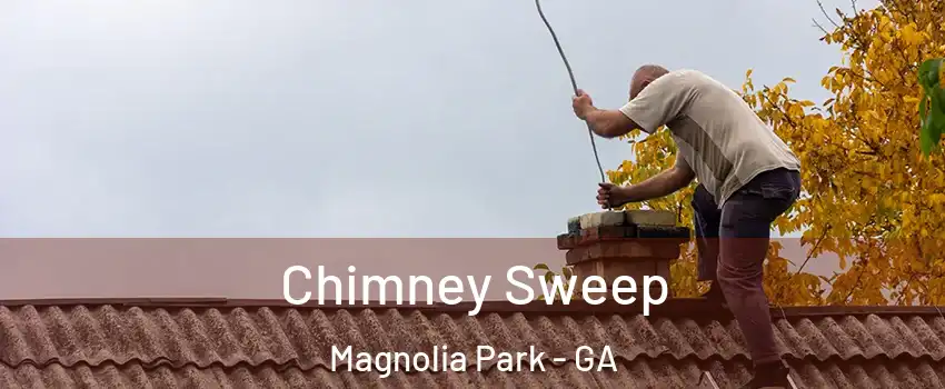 Chimney Sweep Magnolia Park - GA