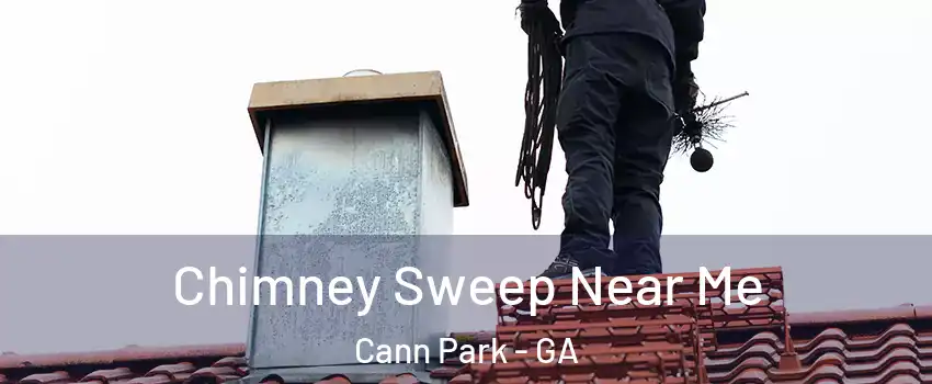 Chimney Sweep Near Me Cann Park - GA