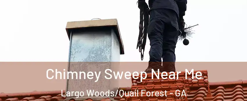 Chimney Sweep Near Me Largo Woods/Quail Forest - GA