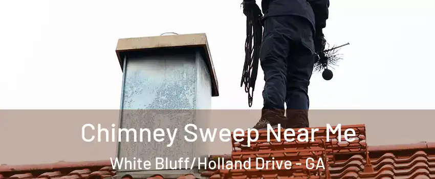 Chimney Sweep Near Me White Bluff/Holland Drive - GA