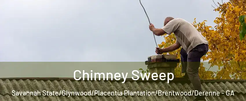 Chimney Sweep Savannah State/Glynwood/Placentia Plantation/Brentwood/Derenne - GA