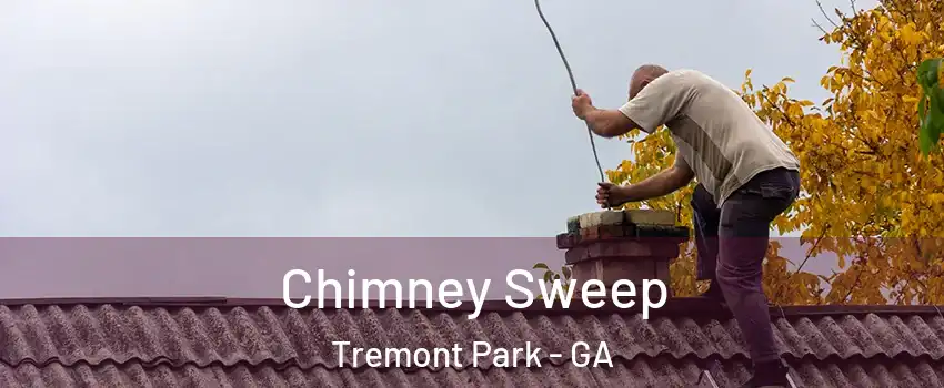 Chimney Sweep Tremont Park - GA