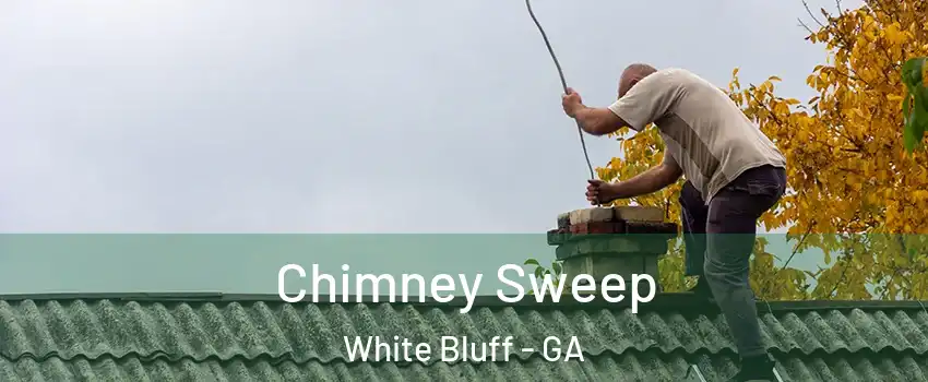 Chimney Sweep White Bluff - GA