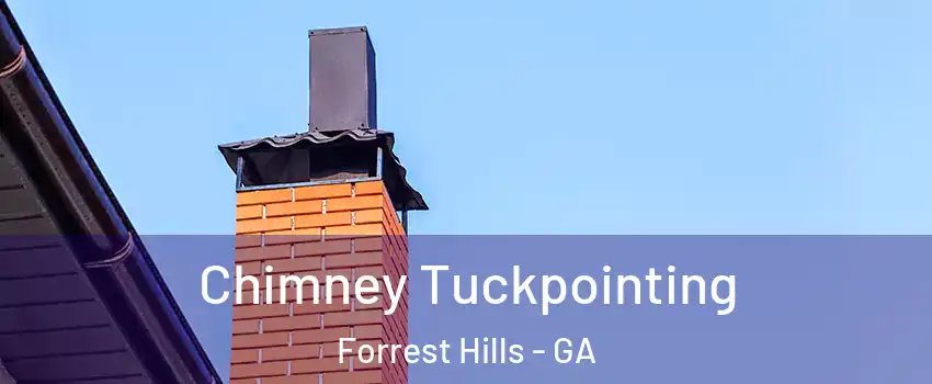 Chimney Tuckpointing Forrest Hills - GA