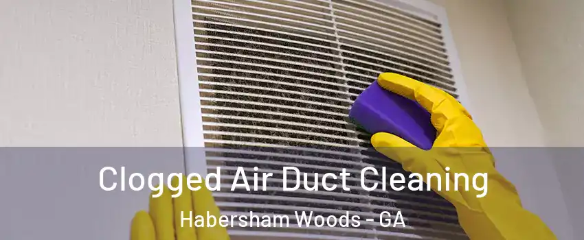 Clogged Air Duct Cleaning Habersham Woods - GA
