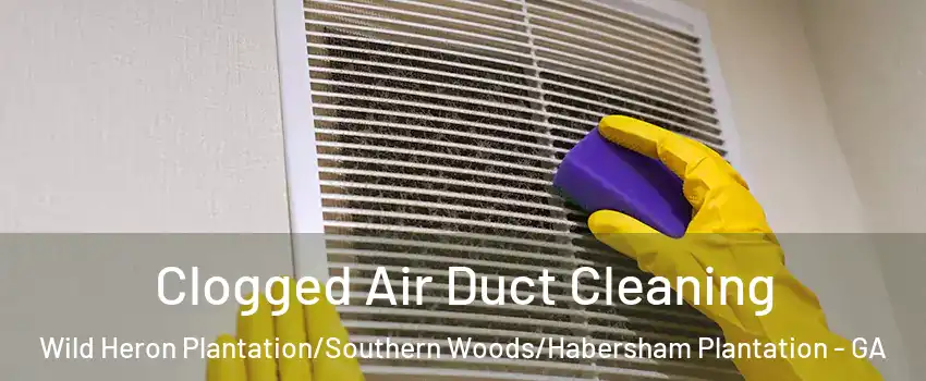 Clogged Air Duct Cleaning Wild Heron Plantation/Southern Woods/Habersham Plantation - GA